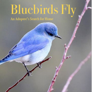 Somewhere Bluebirds Fly